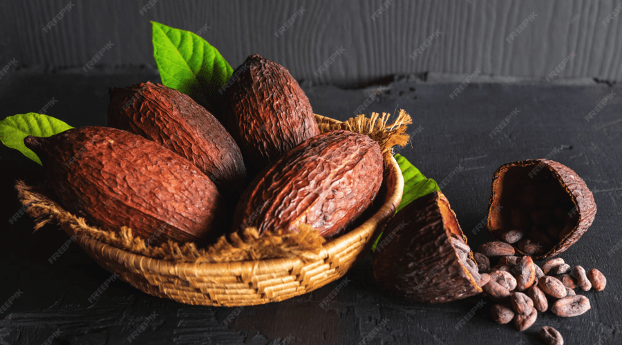 THE HISTORY OF CHOCOLATE